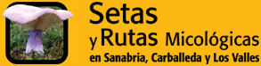 Setas y Rutas Micolgicas en Sanabria, Carballeda y Los Valles