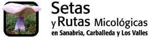 Setas y Rutas Micolgicas en Sanabria, Carballeda y Los Valles