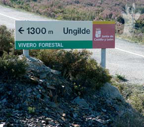 Indicador