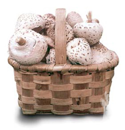 Cesta de cucurriles