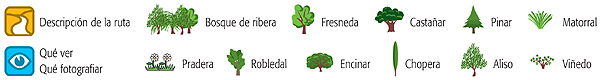 Iconos de las descripciones